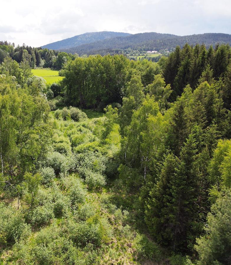 Wildgatter Ferienappartements Grafenwiesen Eksteriør billede