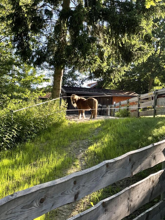 Wildgatter Ferienappartements Grafenwiesen Eksteriør billede